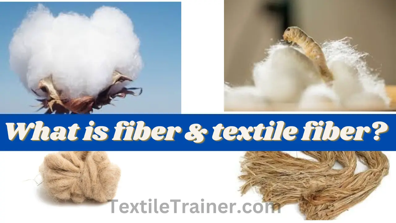 Fiber and Textile Fiber
