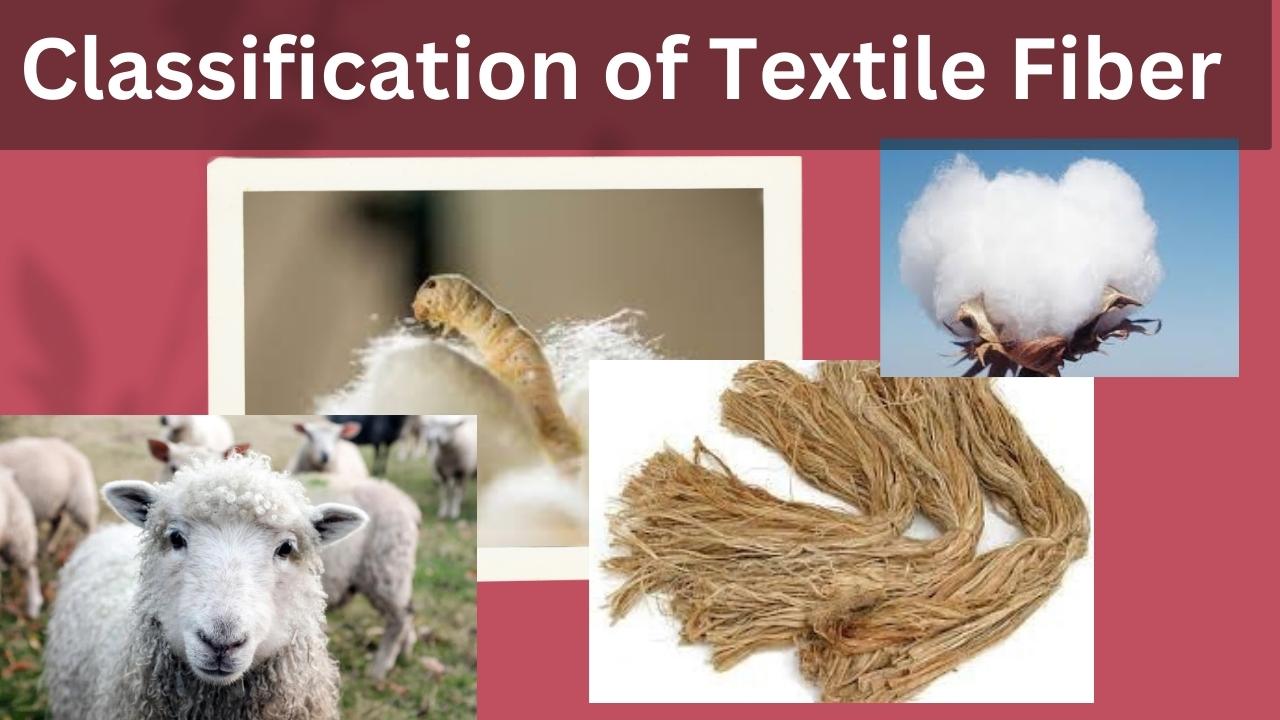 What is Textile Fiber? Classification of Textile Fiber/ Easy 6 Way Fiber  Classification of Textile - Textile Trainer