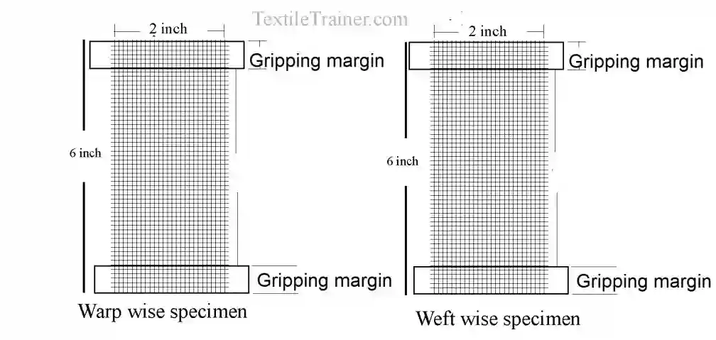 Measurement of specimen