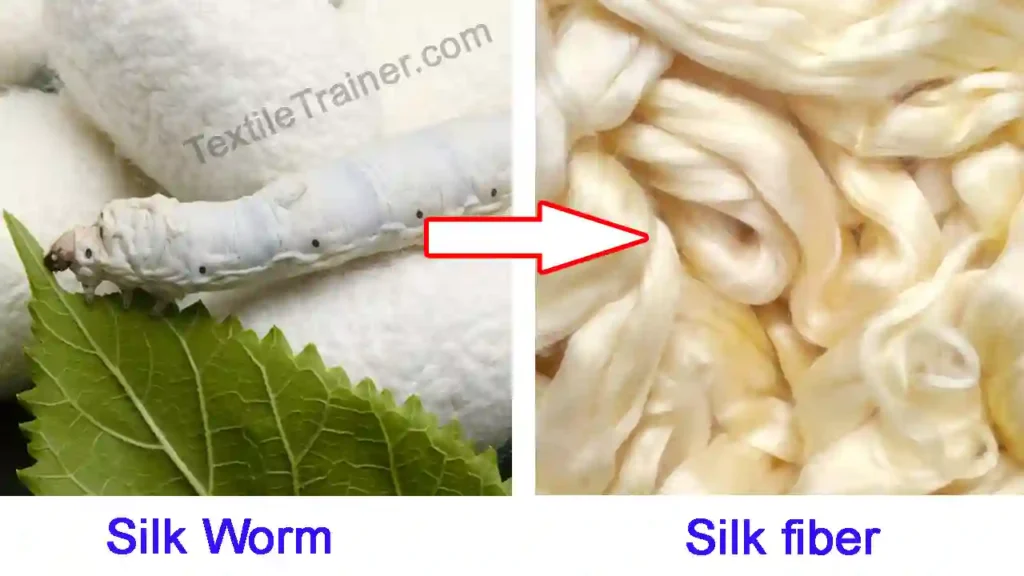 Silk fiber