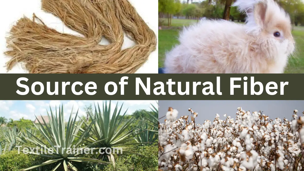 Source of natural fiber