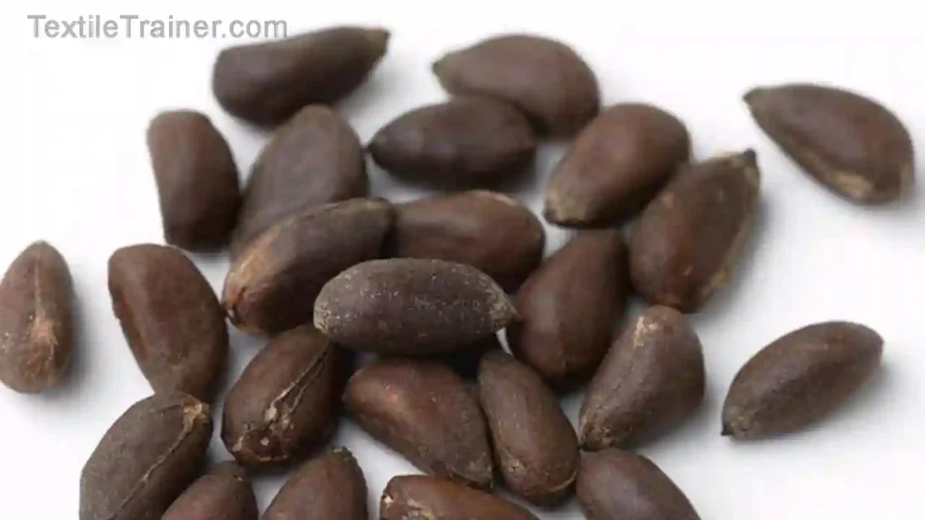 Cotton seed