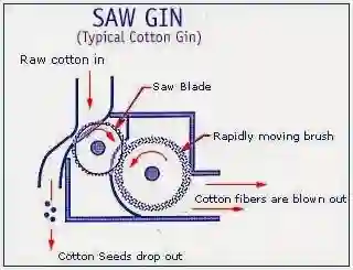 Gin stand