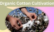 Organic Cotton Cultivation