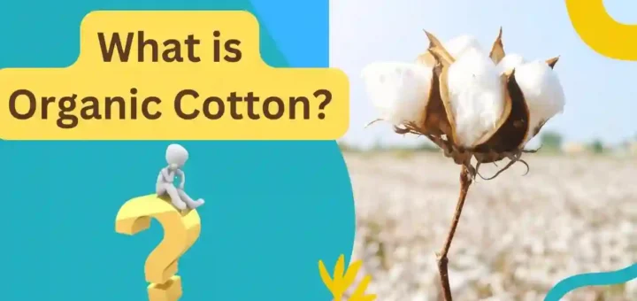 organic cotton