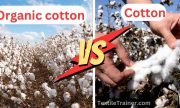 organic cotton vs cotton