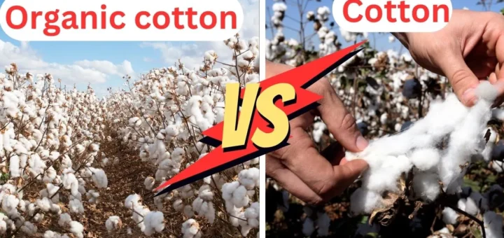 organic cotton vs cotton