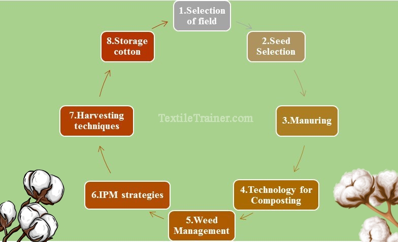 Organic cotton cultivation 