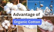 advantage of organic cotton