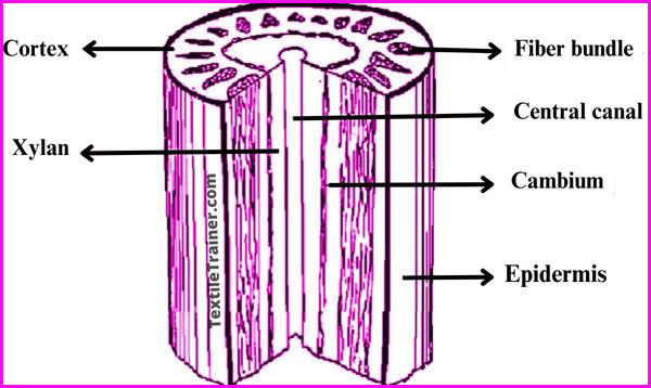 Types, Classification and Chemical Composition of Jute Fiber