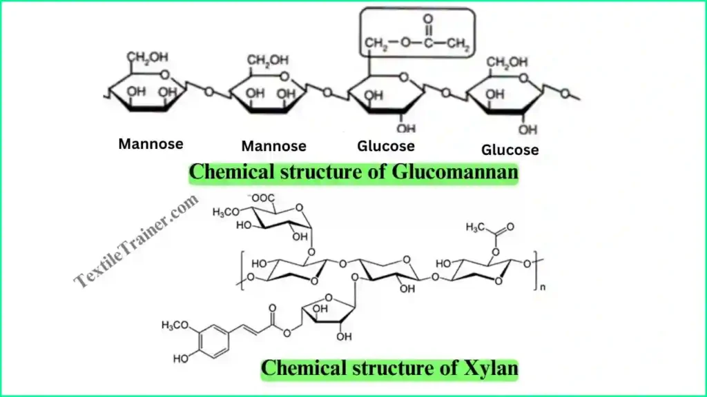 Chemical structure of Glucomannan and xylan