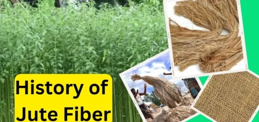 History of Jute Fiber