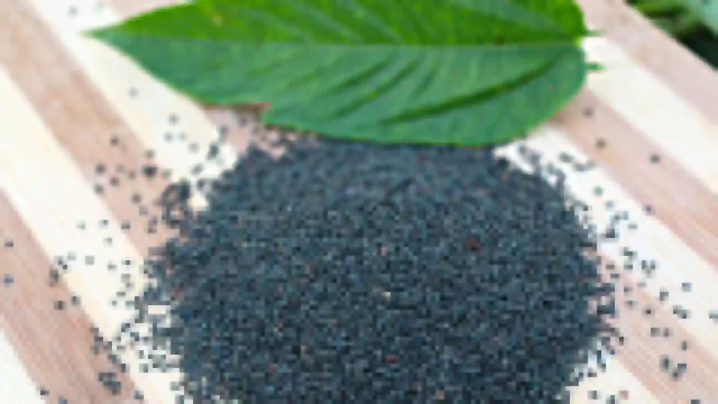 Jute seed