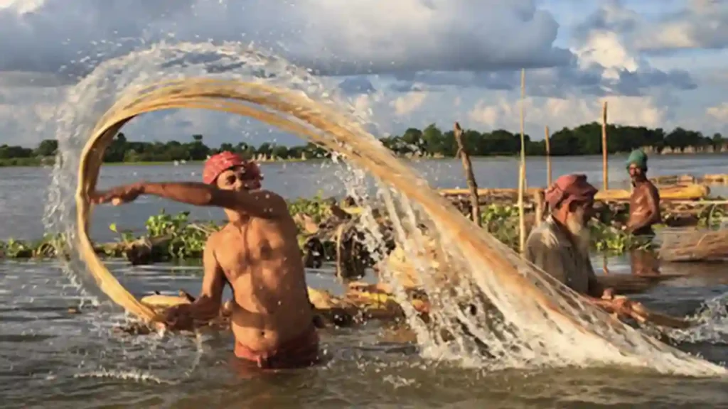 Jute washing process