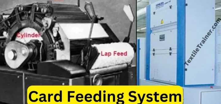 Types of Feed System