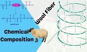 Chemical composition of wool fiber