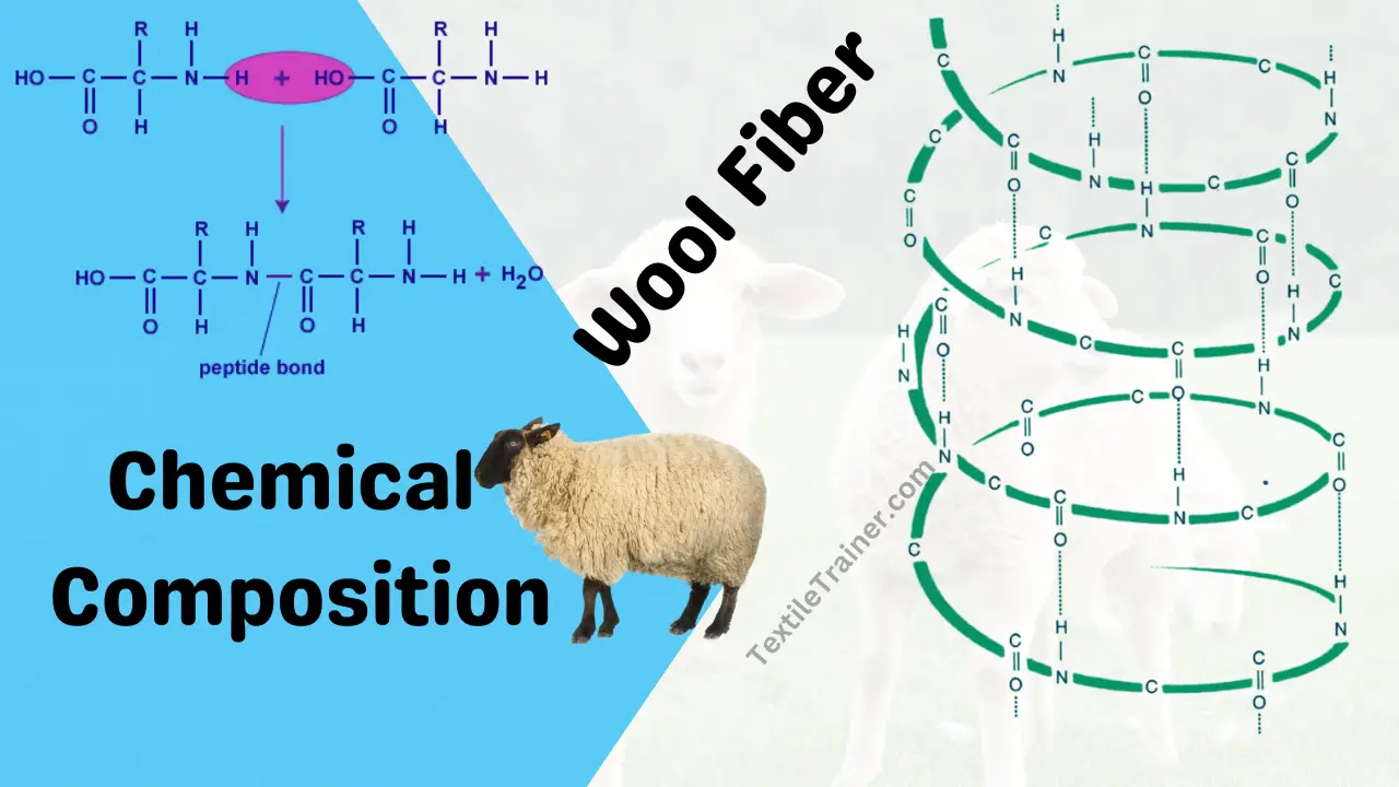 Chemical composition of wool fiber