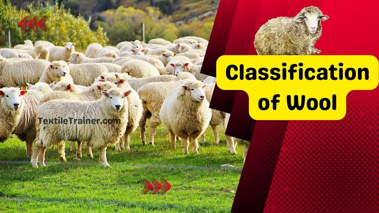 Classification of Wool