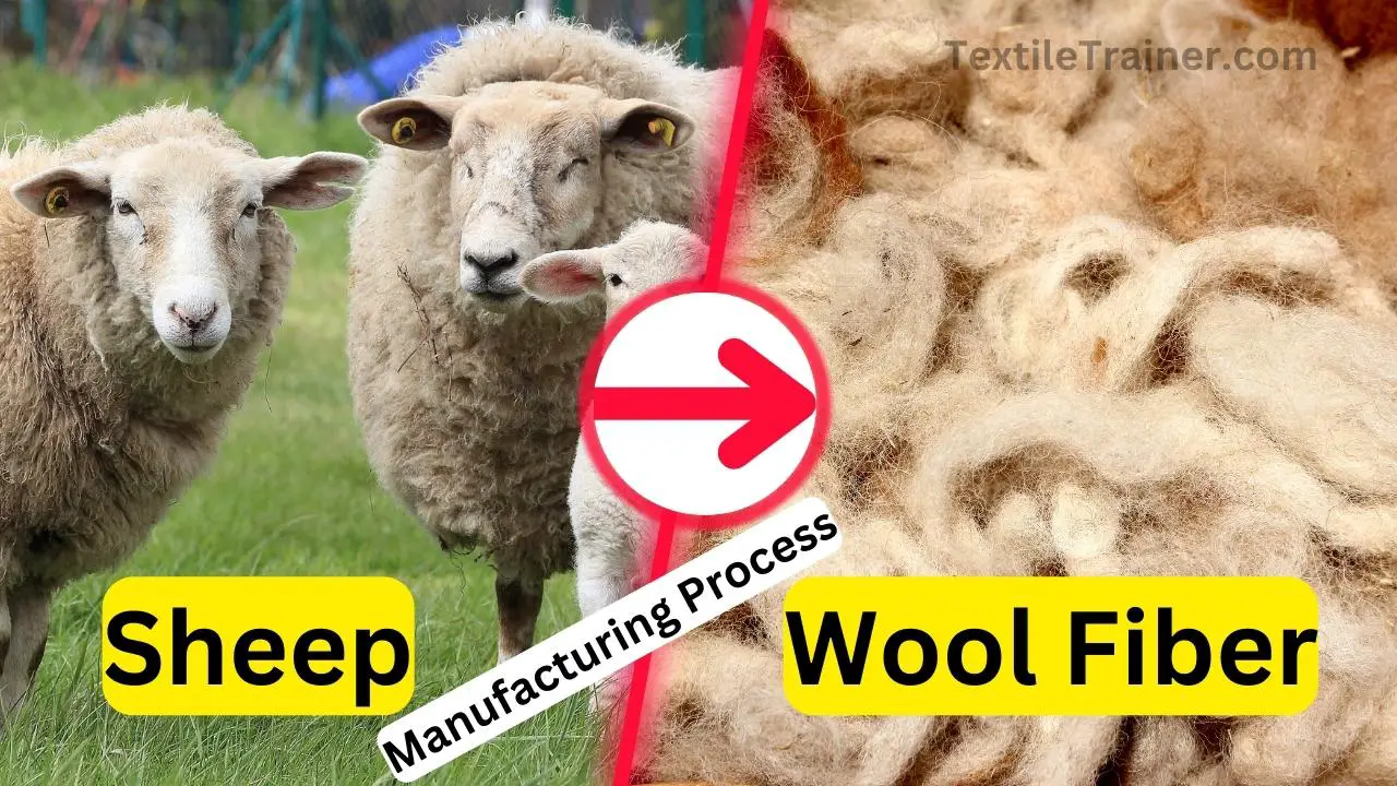Manufacturing process of wool