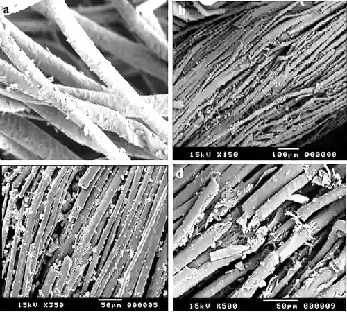 Microscopic view of wool