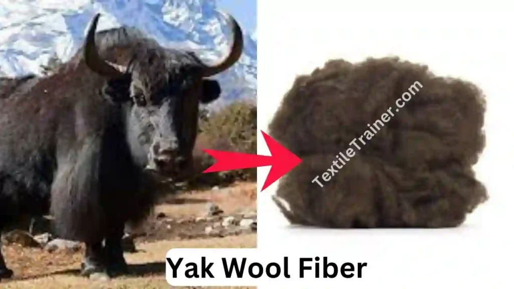 Yak Wool Fiber