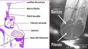 Macro and micro structure of silk