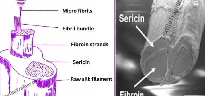 Macro and micro structure of silk