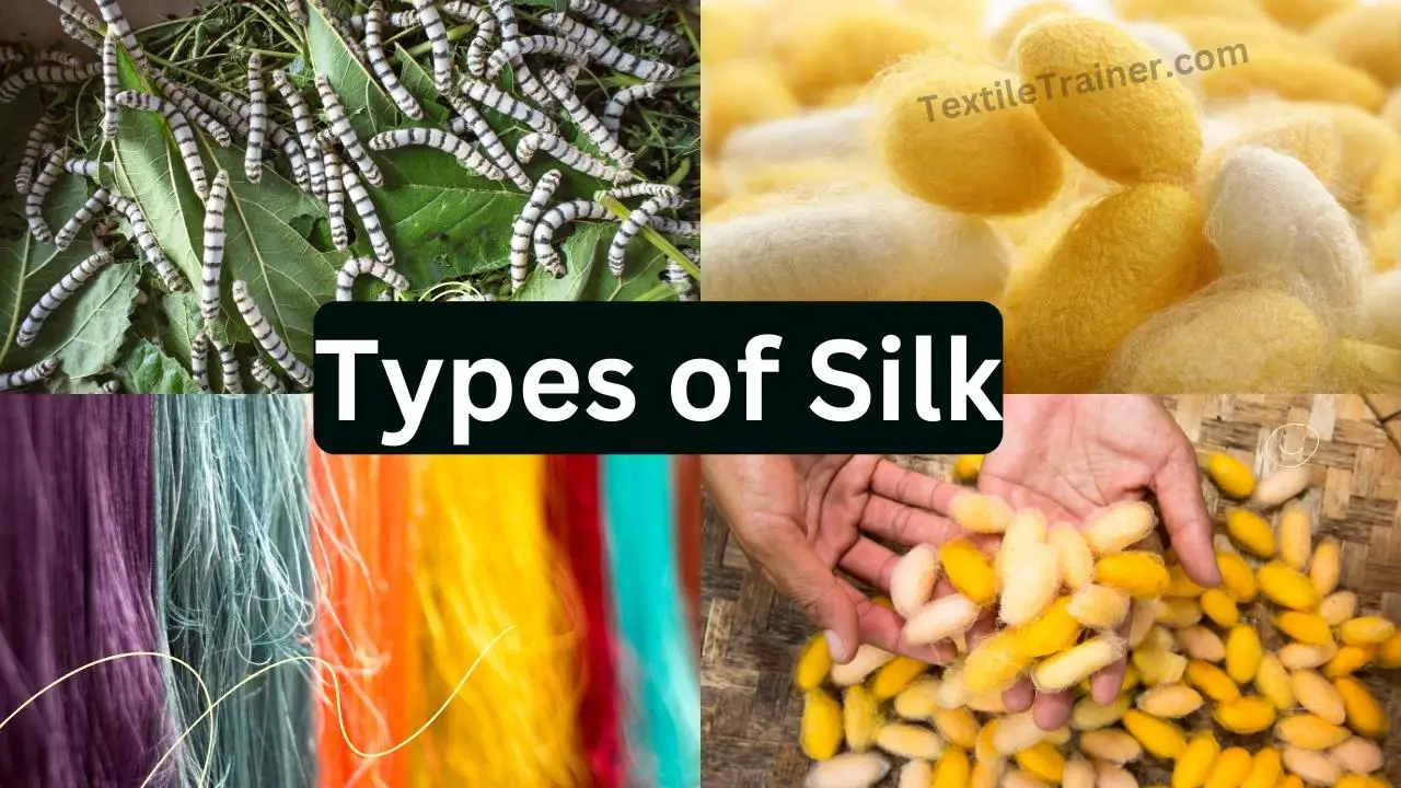 Best 10 Different Types of Silk in the World - Textile Trainer