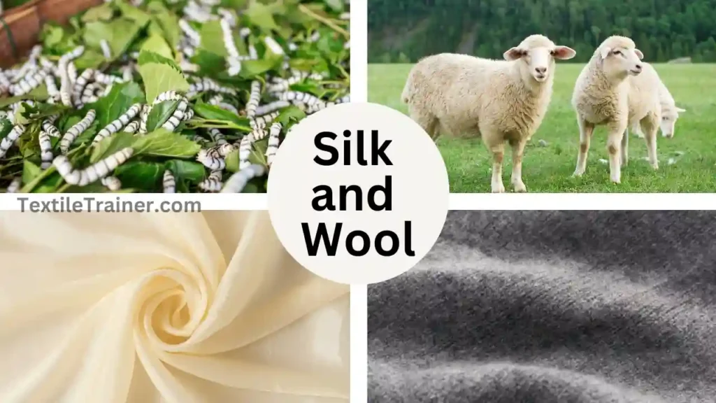 Silk and Wool