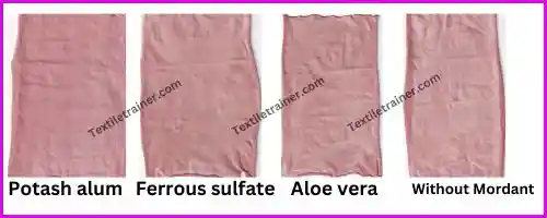 Beetroot dyed fabric