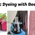 Fabric Dyeing with Beetroot
