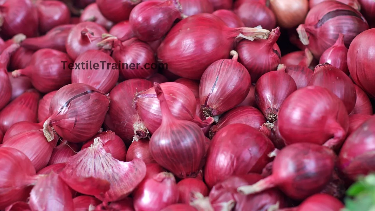 Onion