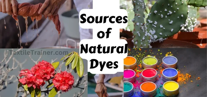 Sources of Natural Dye