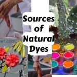 Sources of Natural Dyes