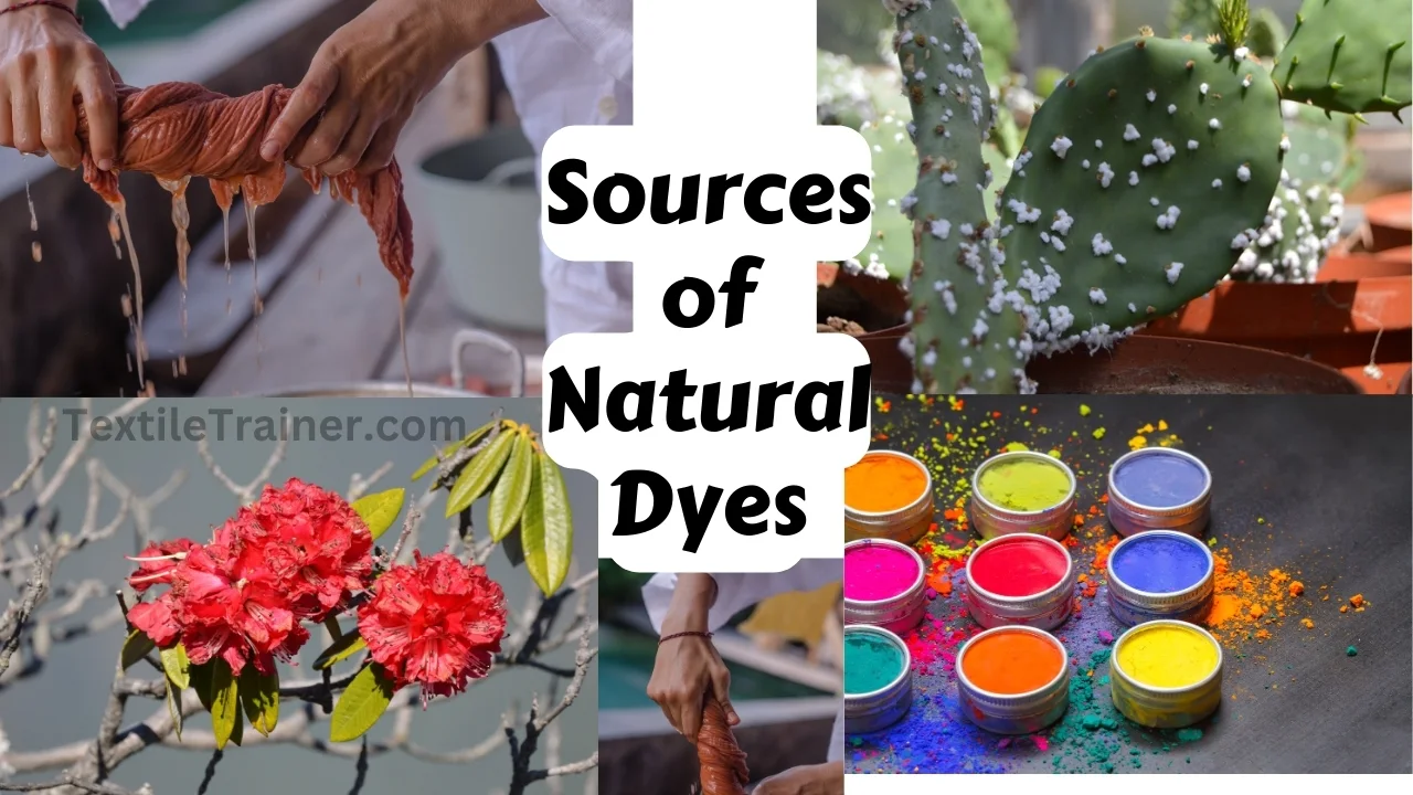 Sources of Natural Dye