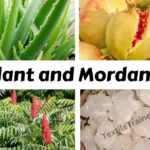 classification of mordant