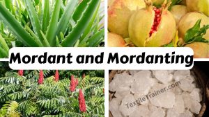classification of mordant