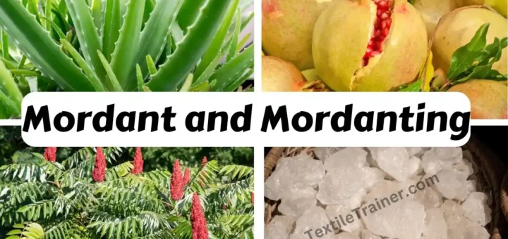 classification of mordant