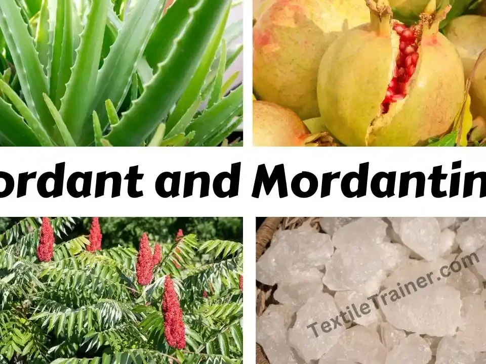 classification of mordant