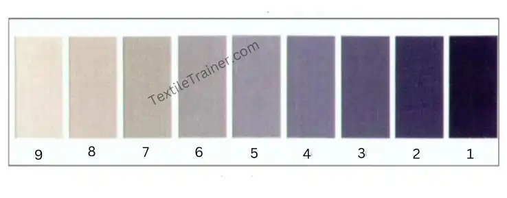 Tegewa Rating scale