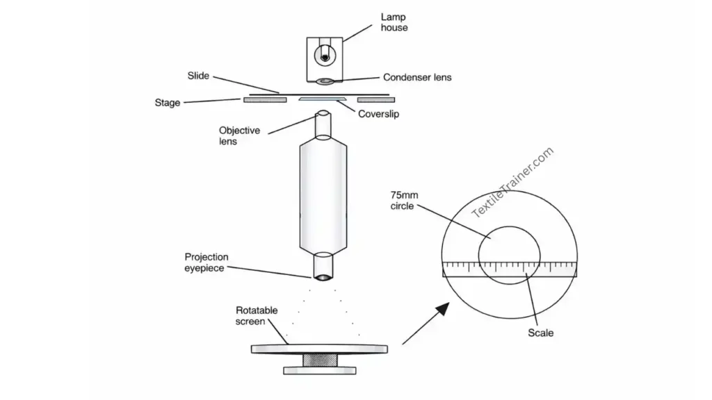 Projection microscope 