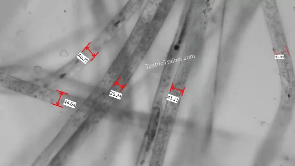 Wool fiber microscopic view