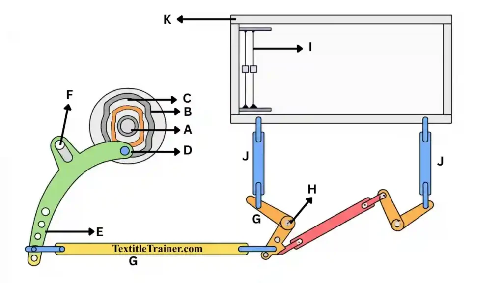 Positive Tappet Shedding