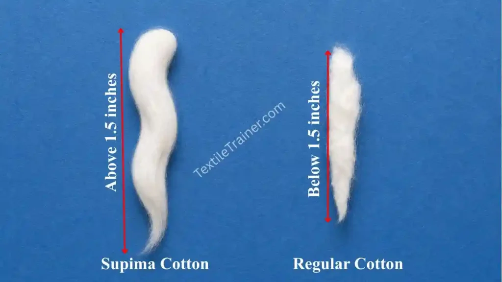 Supima cotton