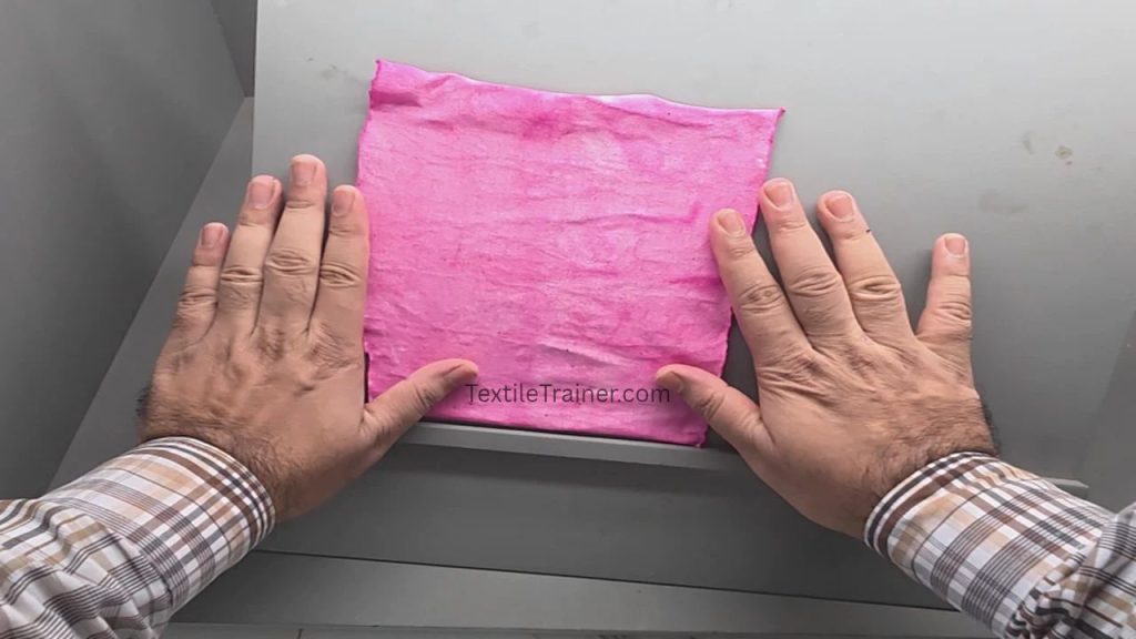 Dragon fruit dye